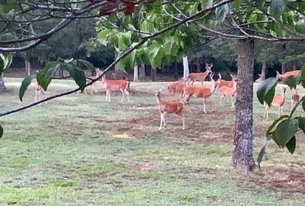 22695 N 6 Mile Road, Fort Gibson, Oklahoma 74434