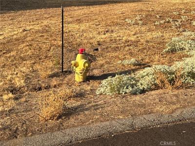 Sunshine Terrace Dr, Coarsegold, California 93614, Stati Uniti