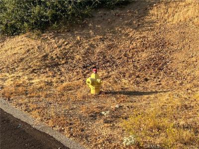 Sunshine Terrace Dr, Coarsegold, California 93614, Stati Uniti