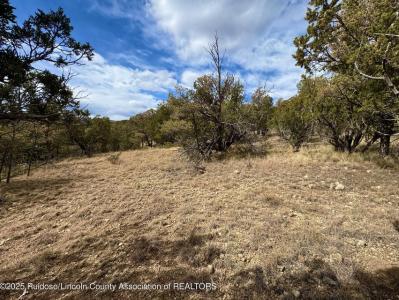 1146 Shoshone Trail, Alto, Nouveau-Mexique 88312, États-Unis