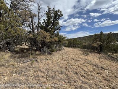 1146 Shoshone Trail, Alto, Nouveau-Mexique 88312, États-Unis