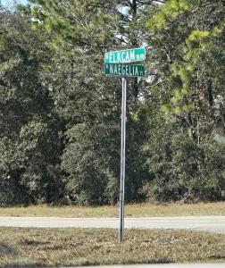2914 W Naegelia , Citrus Springs, Florida 34434
