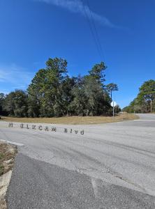 2914 W Naegelia , Citrus Springs, Florida 34434