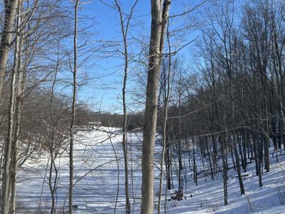 11490 Alpine Road, Canadian Lakes, Michigan 49346, USA