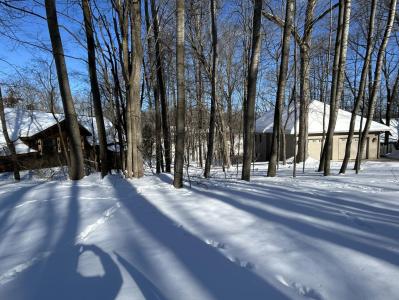11490 Alpine Road, Canadian Lakes, Michigan 49346, USA