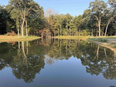 000 CR 1138, Cumby, Texas 75433, USA