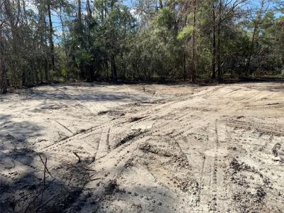 85002 Lonnie Crews Road, Fernandina Beach, 플로리다 32034, 미국