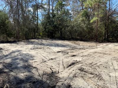 85002 Lonnie Crews Road, Fernandina Beach, 플로리다 32034, 미국