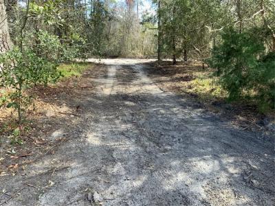 85002 Lonnie Crews Road, Fernandina Beach, 플로리다 32034, 미국