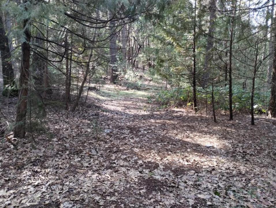 16312 Jones Ridge Road, Grass Valley, 加利福尼亚州 95945, 美国