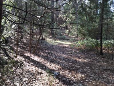 16312 Jones Ridge Road, Grass Valley, 加利福尼亚州 95945, 美国