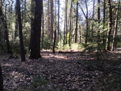 16312 Jones Ridge Road, Grass Valley, 加利福尼亚州 95945, 美国