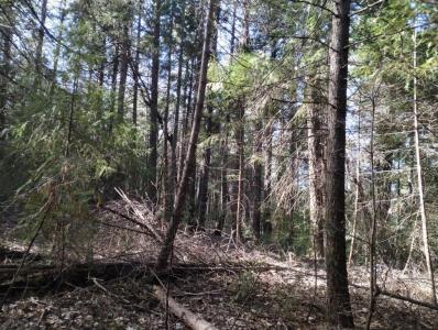 16312 Jones Ridge Road, Grass Valley, 加利福尼亚州 95945, 美国