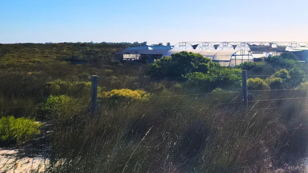 Hopefield, Western Cape, Sudáfrica