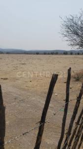 Predio rústico Xacamixtlaco S/N,, Jojutla, Morelos 62901, Mexique