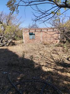 8QWR+XJ6 Ixtlahuacán de los Membrillos, Jalisco s/n,, Ixtlahuacan De Los Membrillos, Jalisco 45850, Meksika