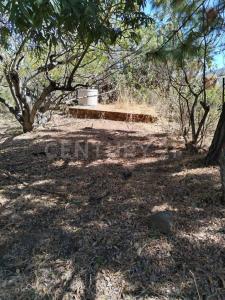 8QWR+XJ6 Ixtlahuacán de los Membrillos, Jalisco s/n,, Ixtlahuacan De Los Membrillos, Jalisco 45850, Meksika