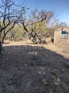 8QWR+XJ6 Ixtlahuacán de los Membrillos, Jalisco s/n,, Ixtlahuacan De Los Membrillos, Jalisco 45850, Meksika