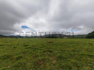 Oeste, Santa Cruz 00001, 玻利維亞