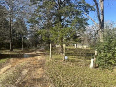 1030 Mangum Road, Livingston, 德克薩斯州 77351, 美國