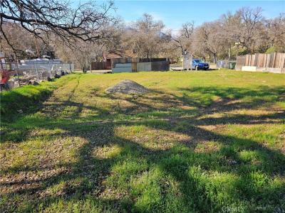 3688 Johnson Avenue, Clearlake, カリフォルニア 95422, アメリカ合衆国