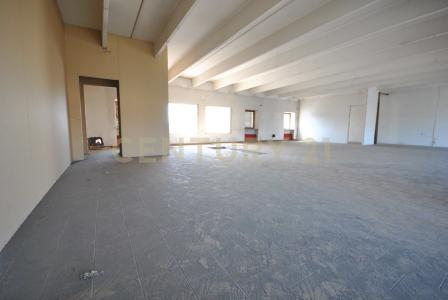 Via Vespucci Amerigo, San Martino Buon Albergo, 威尼托 37036, 義大利