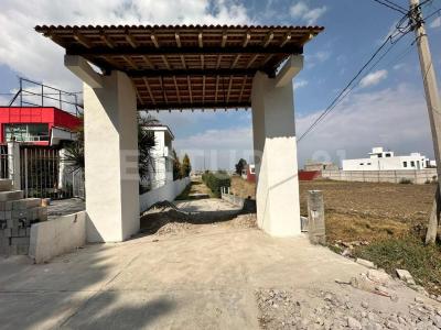 Carr. Metepec-Zacango S/N,, Calimaya, Meksyk (stan) 52230, Meksyk