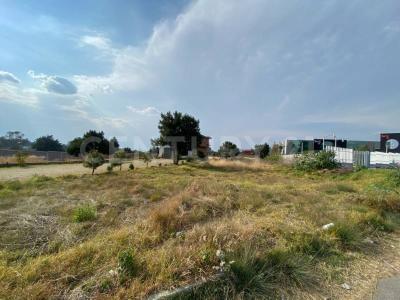 トラスカラ, トラスカラ 90115, メキシコ