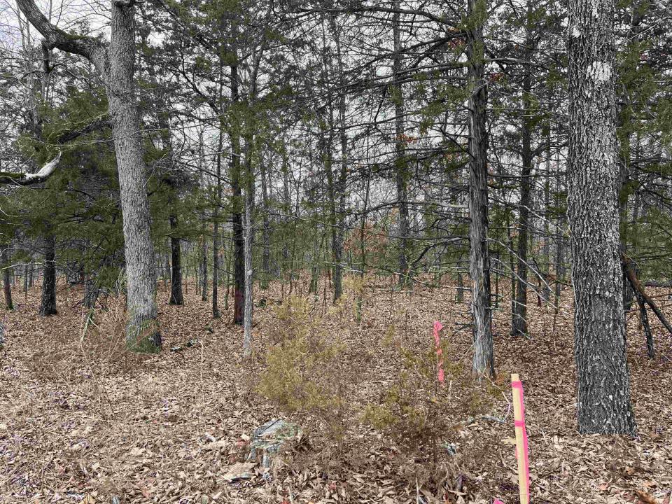 2108 & 2110 Hillcrest Dr, Horseshoe Bend, Arkansas 72512, Estados Unidos