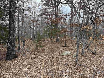 2108 & 2110 Hillcrest Dr, Horseshoe Bend, Arkansas 72512, Estados Unidos