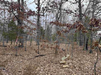 2108 & 2110 Hillcrest Dr, Horseshoe Bend, Arkansas 72512, Estados Unidos