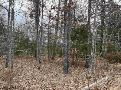 2108 & 2110 Hillcrest Dr, Horseshoe Bend, Arkansas 72512, Estados Unidos