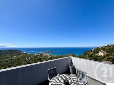 Centuri, Corse 20238, France