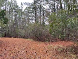 0 Dogwood Landing Road, Merritt, צפון קרוליינה 28556, ארצות הברית של אמריקה