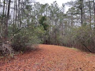 0 Dogwood Landing Road, Merritt, צפון קרוליינה 28556, ארצות הברית של אמריקה