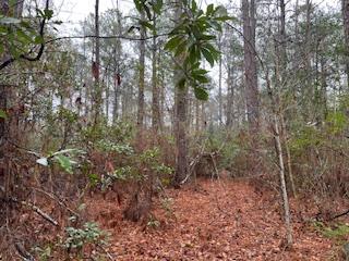 0 Dogwood Landing Road, Merritt, צפון קרוליינה 28556, ארצות הברית של אמריקה