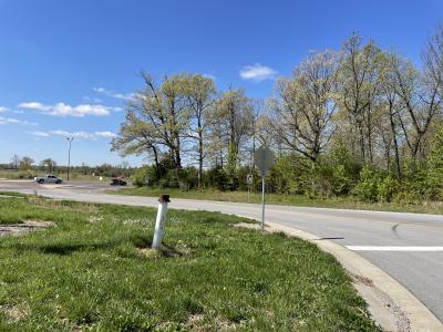 10311 Fleming, Carterville, Illinois 62918, Estados Unidos
