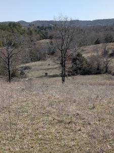 Unk Polk Road 62, Mena, Arkansas 71953