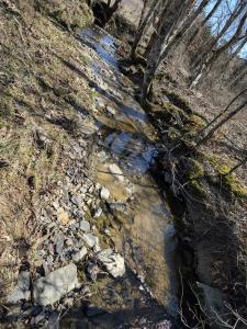 Unk Polk Road 62, Mena, Arkansas 71953
