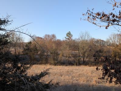 Unk Polk Road 62, Mena, Arkansas 71953
