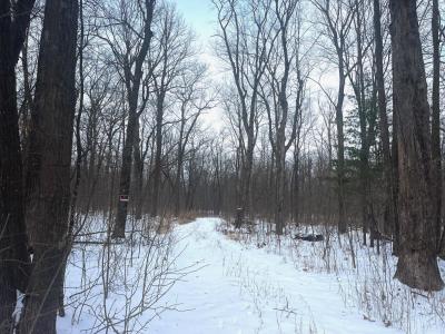 8xx 68th Avenue, Lincoln Twp, Wisconsin 54001, USA