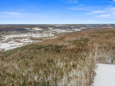 0 County Rd 32, Greene, Nueva York 13778, Estados Unidos