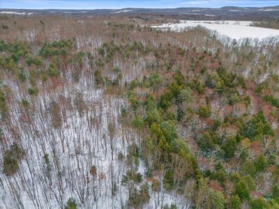 0 County Rd 32, Greene, Nueva York 13778, Estados Unidos