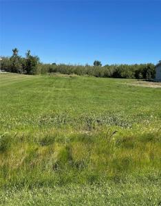 50 ELIE STREET WEST, Elie, Manitoba R0H 0H0, Canada