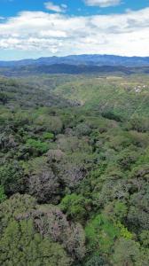 , Colón Mora, San José 00001, Коста-Рика