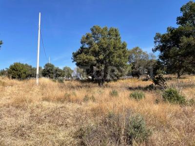 SC SN,, Tzompantepec, Tlaxcala 90491, Meksika