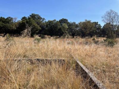 SC SN,, Tzompantepec, Tlaxcala 90491, Meksika