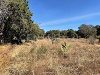 SC SN,, Tzompantepec, Tlaxcala 90491, Meksika