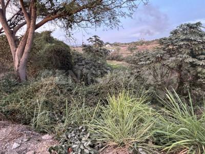 Azaleas 74 ALTOZANO,, Cuauhtemoc, ولاية كوليما 28530, المكسيك