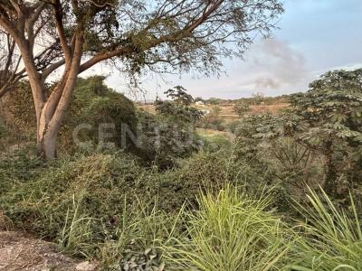 Azaleas 74 ALTOZANO,, Cuauhtemoc, ولاية كوليما 28530, المكسيك